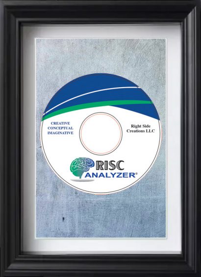 The RISC Analyzer©™ Software