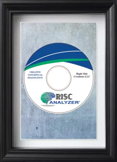The RISC Analyzer©™ Software
